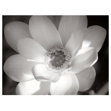"Lotus Flower V" Digital Paper Print by Debra Van Swearingen, 34"x26"
