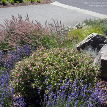 Mediterranean Front Hillside Garden - Novato, California