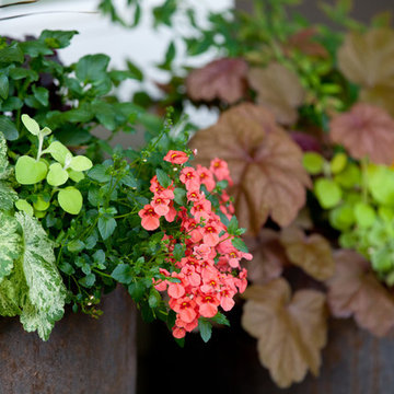 Sandy & Allen's Landscape, Fountain & Containers