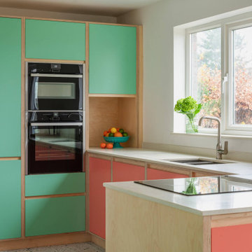 Bright Plywood Kitchen