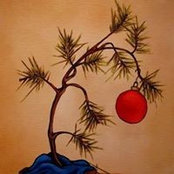 Patricia Rhinesmith's photo