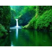 Suhaila Alkhateeb's photo