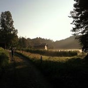 Francesca Maioli's photo