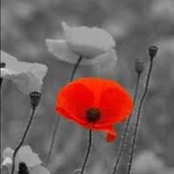 Photo de Beccy Marfleet