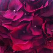 Sam Tarry's photo