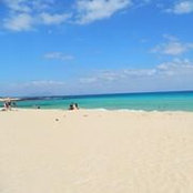 Ray Lan's photo