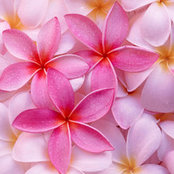 Danna Blumenau's photo
