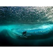 Ben Harland's photo