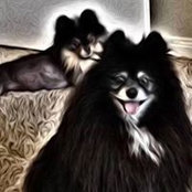 Lori Matthews's photo