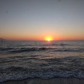 Erin Shy's photo