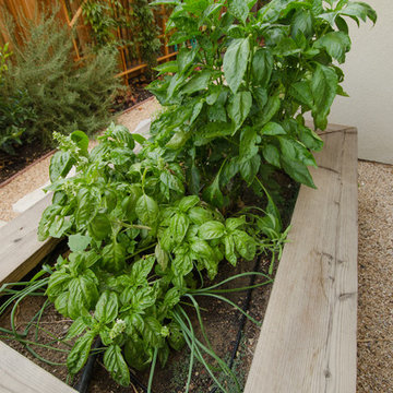 Herb Garden Planter in Refined Relaxation