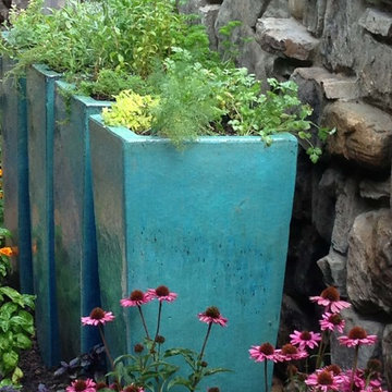 Organic Kitchen Garden