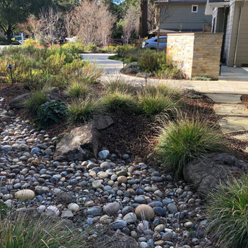 Dry creek