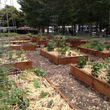 ebay, inc. Corporate Vegetable Garden Installation & Employee Garden Education