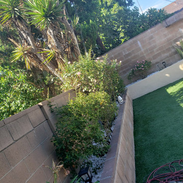 Backyard clean up and remodel