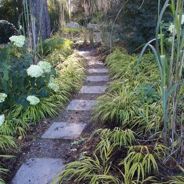 Plantering och Skötsel