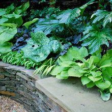 green bed