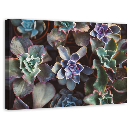 "Agave 2" Canvas Wall Art, 48"x32"