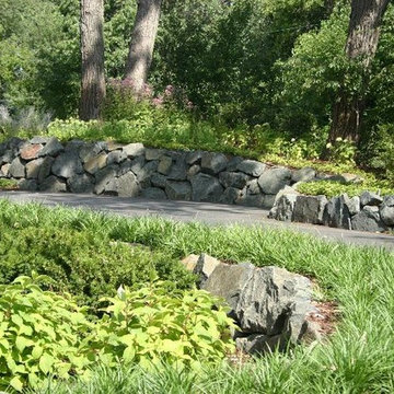 Suburban Oasis