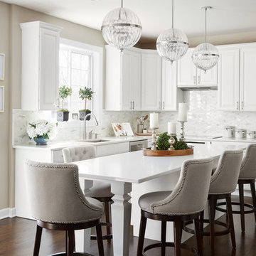 Palatine Kitchen Renovation
