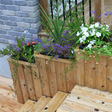 Patio Ideas