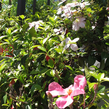 Giardino formale