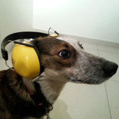 celka's photo