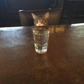 Karl Bernholtz's photo