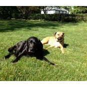 Lucille Brinks's photo
