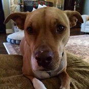 Gretchen Quiggle's photo