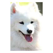 Michael Ballard's photo