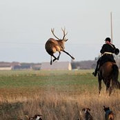 Chatton Poirier's photo