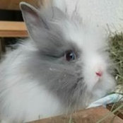 Foto de sandra_berndt69
