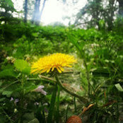 Preethi Krishnan's photo