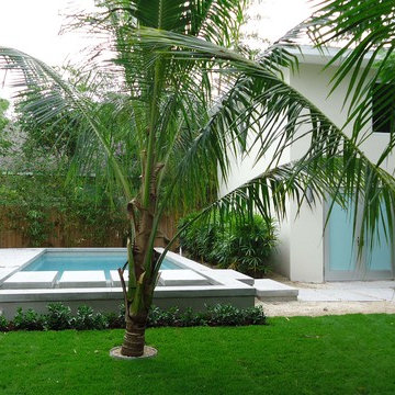 Bougainvillea Street