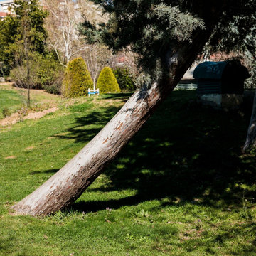 Pro Tree Service