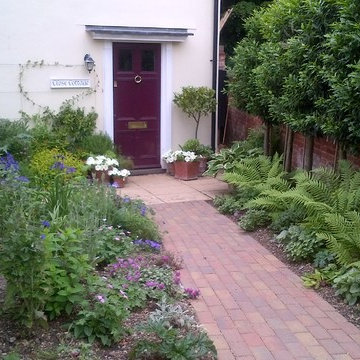 Small overlooked garden with pleached trees
