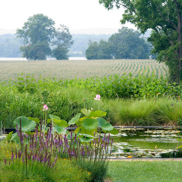 Kendale Farm, Chance, VA