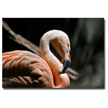 'The Sacred Old Flamingoes' Canvas Art by Lois Bryan