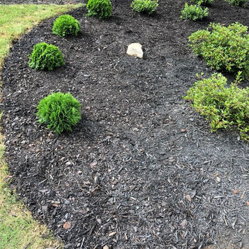 Landscape Design