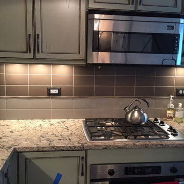 Urban High Rise Condo Remodel