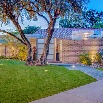 Modern Landscape