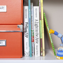 Organization