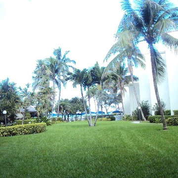 Landscapes