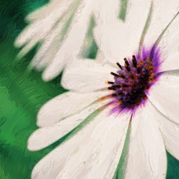 Fine Art Photography - Digital paintings - Products