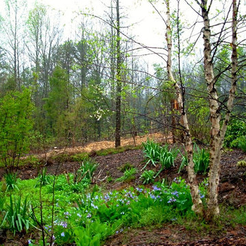 Green Springs:  Growing a New Old Garden