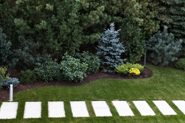 by Нина Фролова