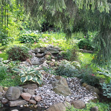 Wish List