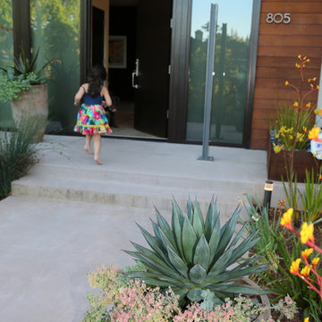 Menlo Park Garden Retreat
