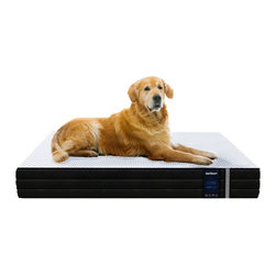 Pet Mattress - Mattress Toppers And Pads